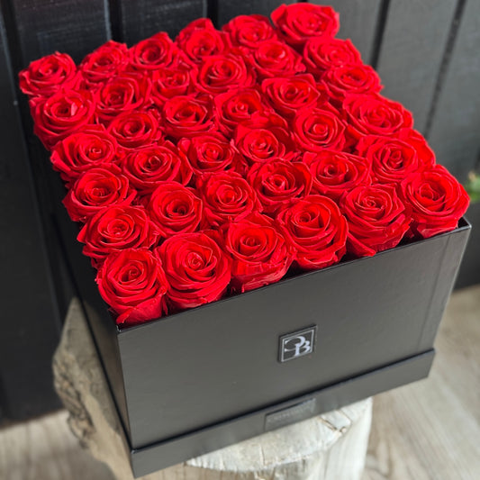 Premium PRESERVE ROSES