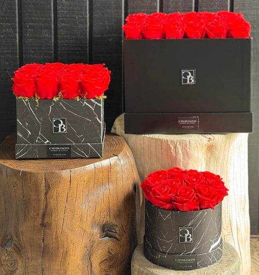 Premium PRESERVE ROSES