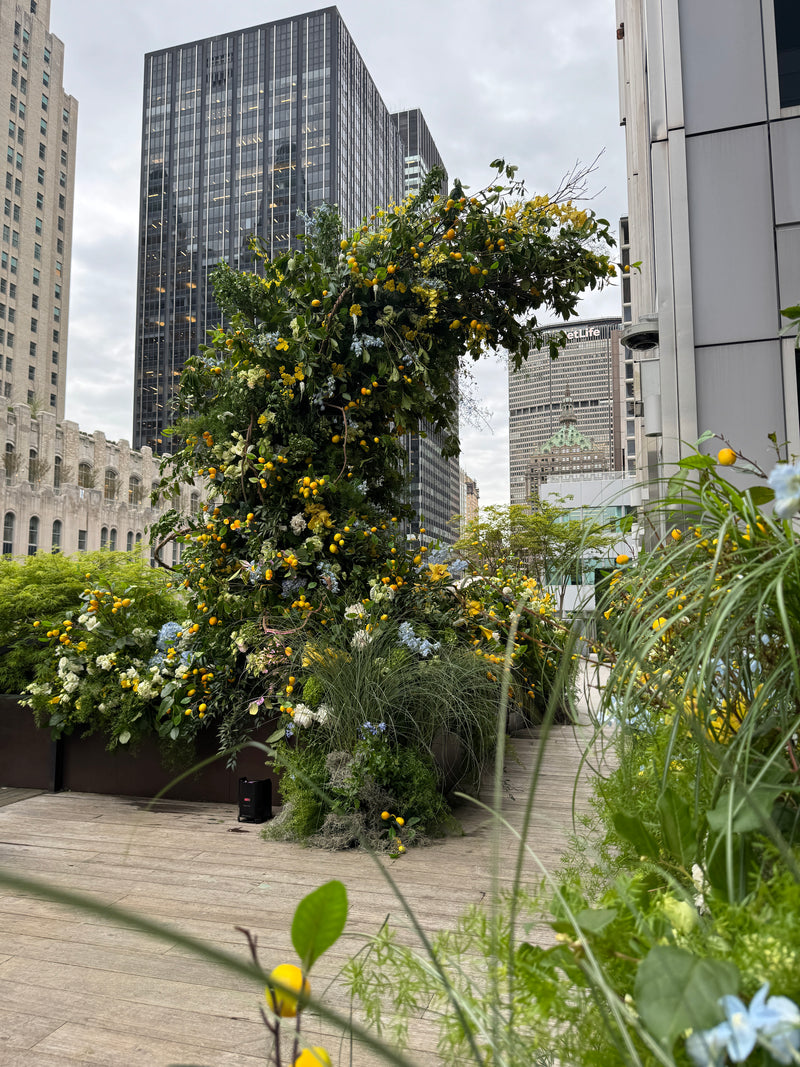 ARCH/CHUPPAH