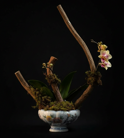 ARTISTIC MINI ORCHID
