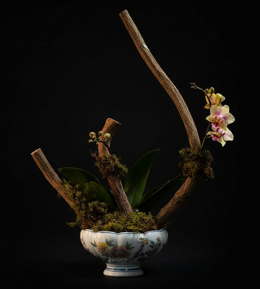 ARTISTIC MINI ORCHID