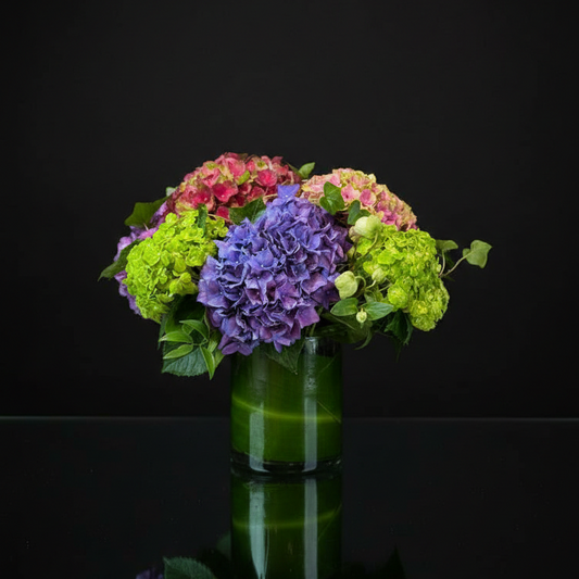 HYDRANGEAS MIX