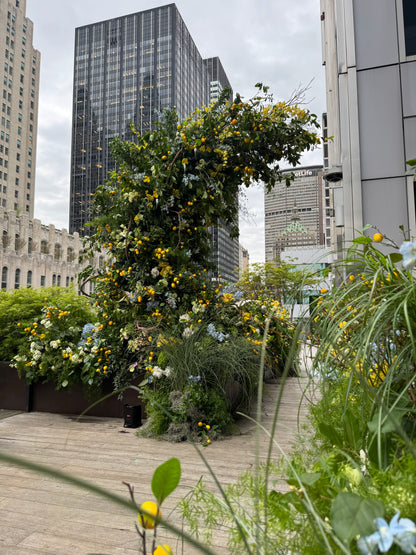 ARCH/CHUPPAH